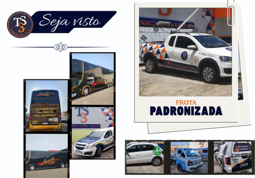 padronização de frota